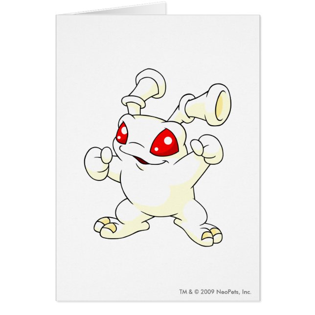 Blanc de Grundo (Devant)