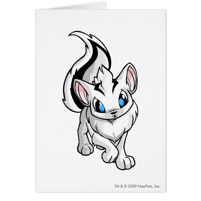 Blanc de Xweetok (Devant)