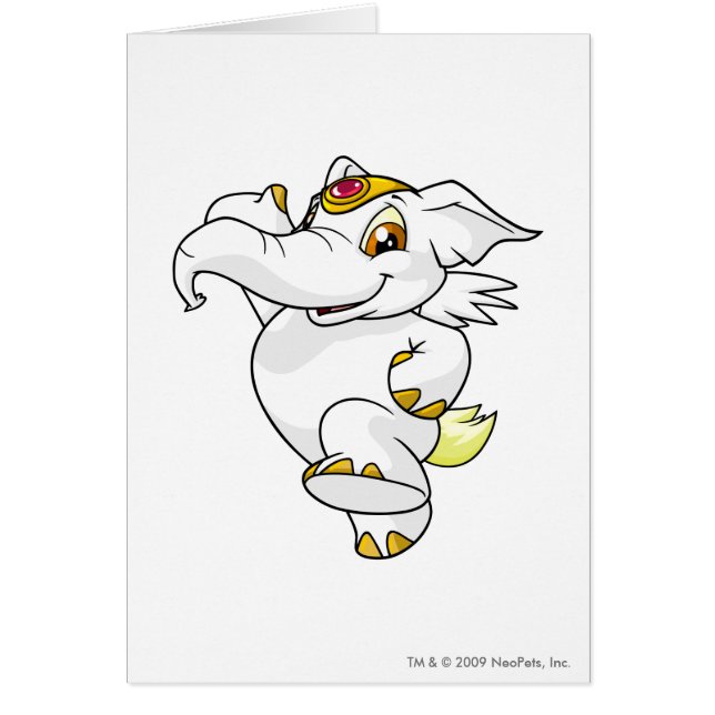 Blanc d'Elephante (Devant)