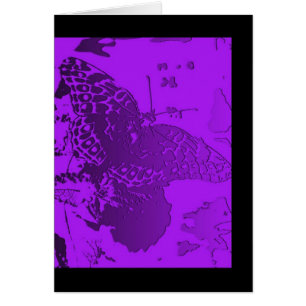 Blanc - papillon dans le pourpre