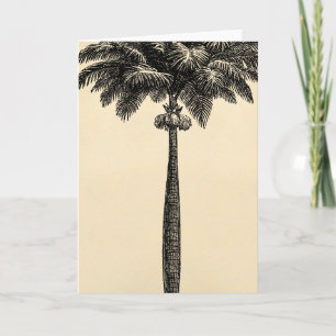 Blanc tropical vintage de modèle de palmier d'île