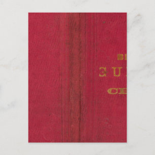 Blanchard-Führerplan von Chicago 2 Postkarte