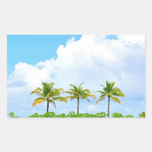 Blanche Palms Blank Template für benutzerdefiniert Rechteckiger Aufkleber (Vorderseite)
