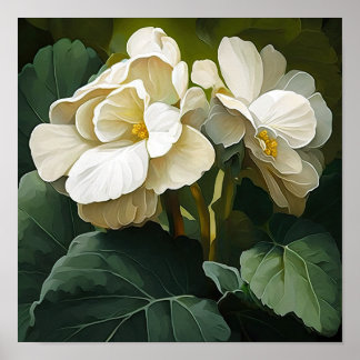 Blancs Begonias Flower Art Imprimer Poster