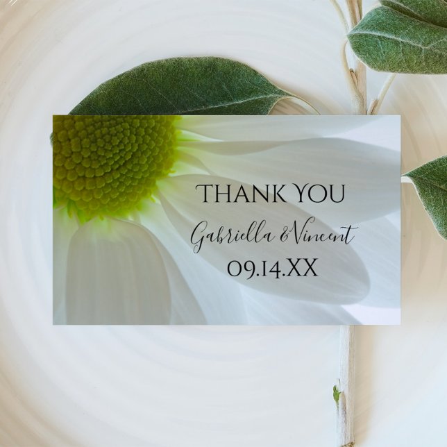 Blancs marguerites pétales Mariage Merci Favoriser (Créateur téléchargé)