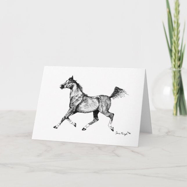 Blank Arabian Horse Grußkarte Karte (Vorderseite)
