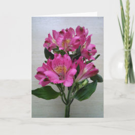 Blank Card - Alstromeria Karte