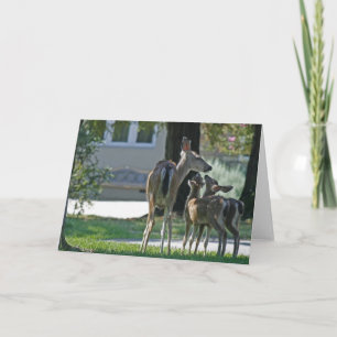 Blank Card, Baby Deh Karte