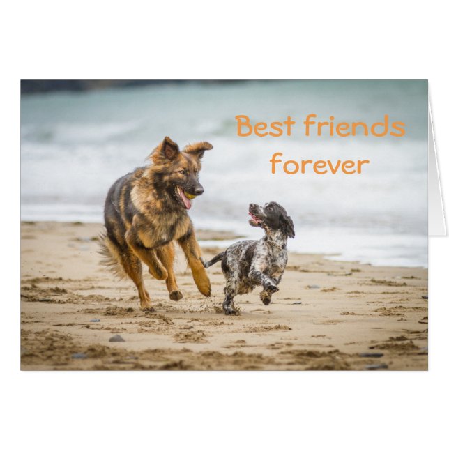 Blank Card German Shepherd Dog und Cockerspaniel (Vorderseite (Horizontal))