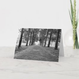 Blank Card - Historic Christ Church Karte