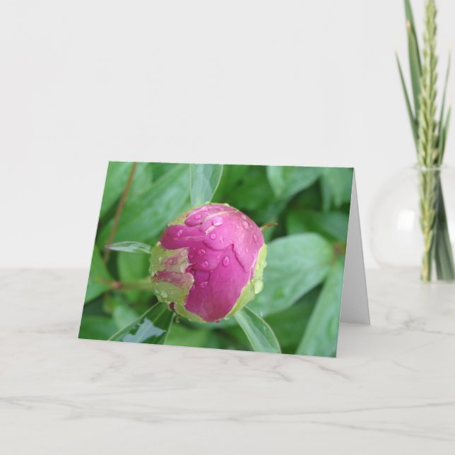 Blank Card im Frühjahr willkommen Karte (Vorderseite)
