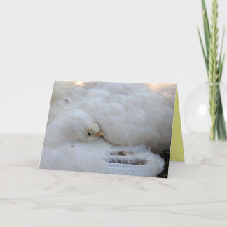 Blank Card mit Verse Karte