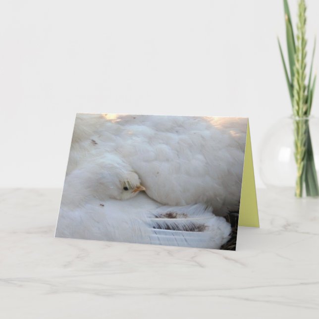 Blank Card mit Verse Karte (Vorderseite)