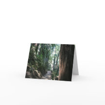 Blank Card, Muir Woods