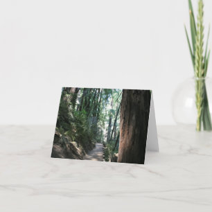 Blank Card, Muir Woods Dankeskarte