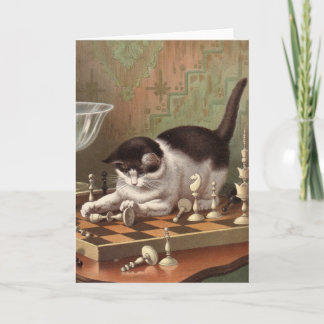 Blank card - Naughty Cat Series - Chess Cat Karte