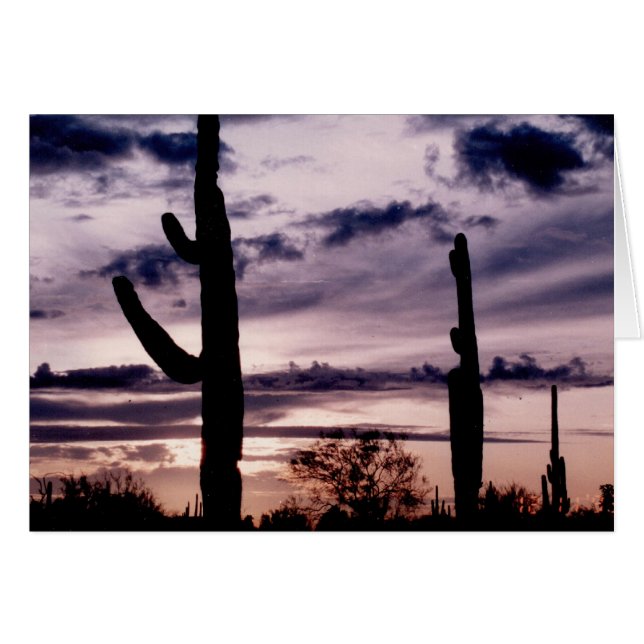 Blank Card - Saguaro bei Sonnenuntergang (Vorderseite (Horizontal))