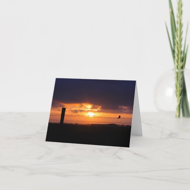 Blank Card, Sonnenaufgang Karte (Vorderseite)