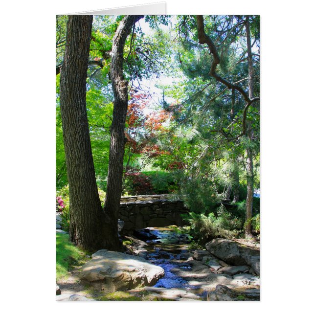 Blank Card, Stream & Bridge (Vorne)