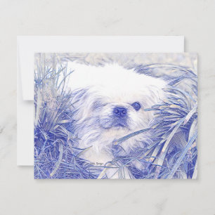 Blank Correspondence Cards feat."Peter Rottentail Mitteilungskarte
