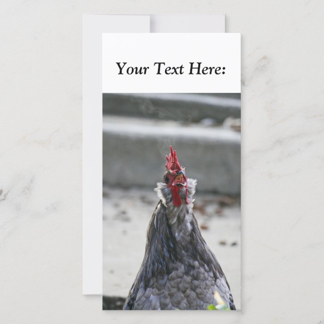 Blank Foto Card, Rooster (Vorderseite)