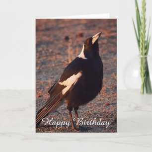 Blank Geburtstagskarte - Australian Magpie Karte