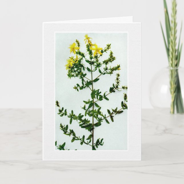 Blank Gelbe Wilde Blume Grußkarte Karte (Vorderseite)