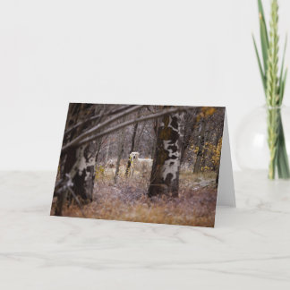Blank Golden Retriever Foto Card Karte