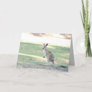 Blank Grußkarte mit Kangaroo Joey Karte