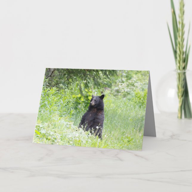 Blank-Grußkarte mit Schwarzbär Karte (Vorderseite)