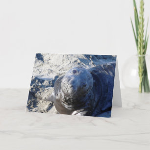 Blank-Grußkarte mit Siegel-Pup Karte