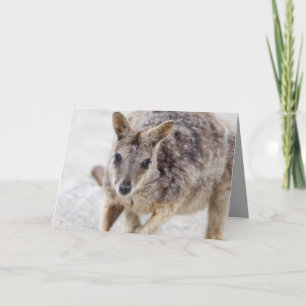 Blank Grußkarte mit Wallaby Karte