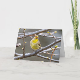 Blank Grußkarte Warbler Karte