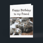 Blank Happy Birthday Friend Fun Pile Kätzchen Karte<br><div class="desc">Alles Gute zum Geburtstag mit einem lustigen Haufen Kätzchen für den katzenliebenden Freund. Bleiben Sie drinnen,  um Ihre eigene Nachricht hinzuzufügen</div>