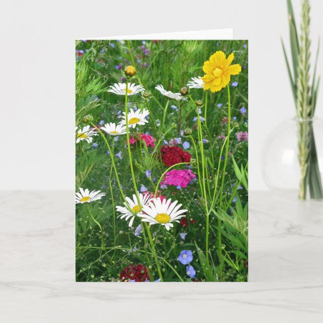 Blank Note Card: Frühjahr-Wildblumen Karte (Vorderseite)