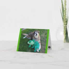Blank Notizkartenhund mit Fröschen Karte