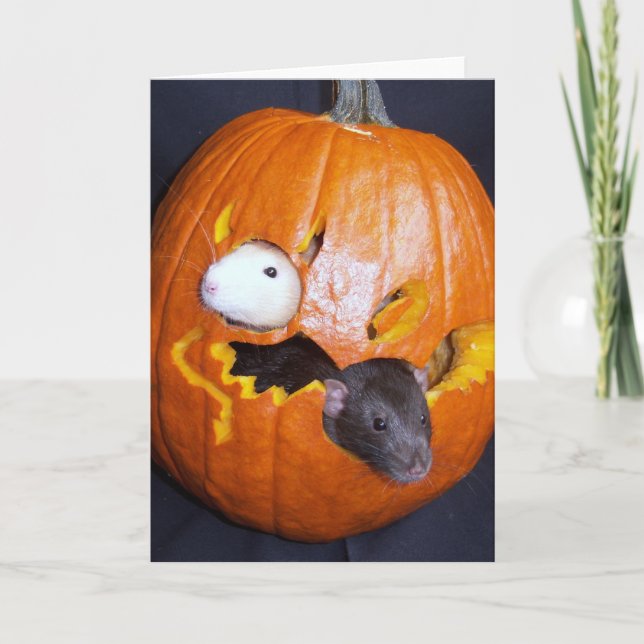 Blank Rattie Halloween-Karte Karte (Vorderseite)
