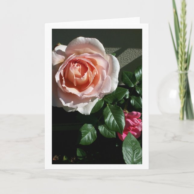 Blank Rose Card #2 Karte (Vorderseite)