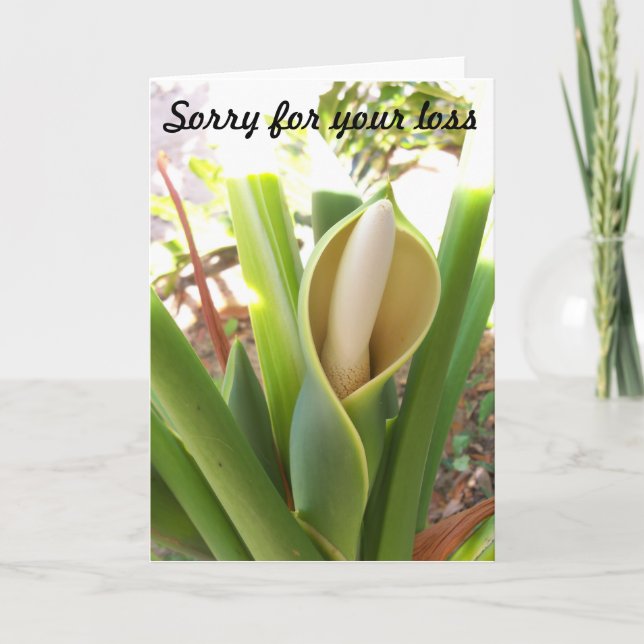 Blank Sympathy Card mit Philodendron Blüte Karte (Vorderseite)