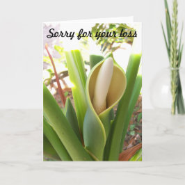 Blank Sympathy Card mit Philodendron Blüte Karte