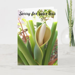 Blank Sympathy Card mit Philodendron Blüte Karte