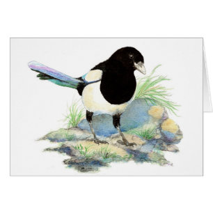 Blank Watercolor Magpie Garden Bird
