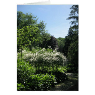 Blank_White Lane