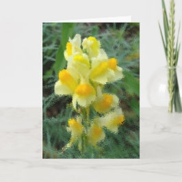 Blank Willkommen bei Spring Card Karte