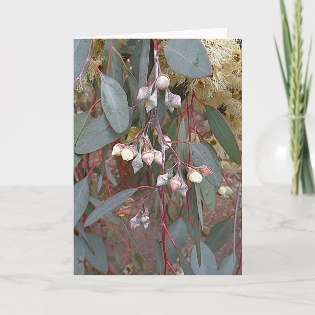 Blanke Grußkarte - Gummi Nuts Karte (Vorderseite)