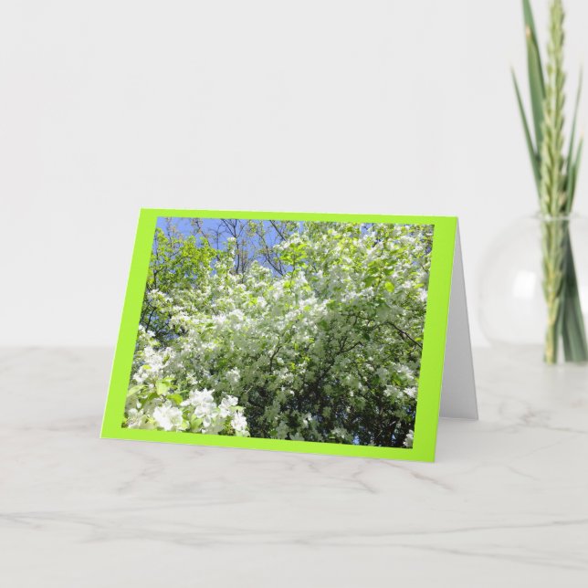 Blanke-Karte des Dornbaums in der Blume Karte (Vorderseite)