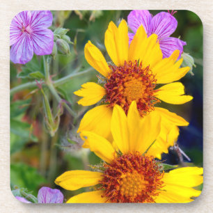 Blanket-Blume aka brauner mit Augen Sushan und Sti Untersetzer