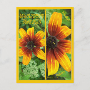 BLANKET BLUME LESEZEICHEN POSTKARTE