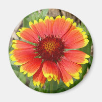 Blanket Blume Magnet