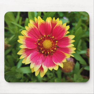 Blanket-Blume Mousepad